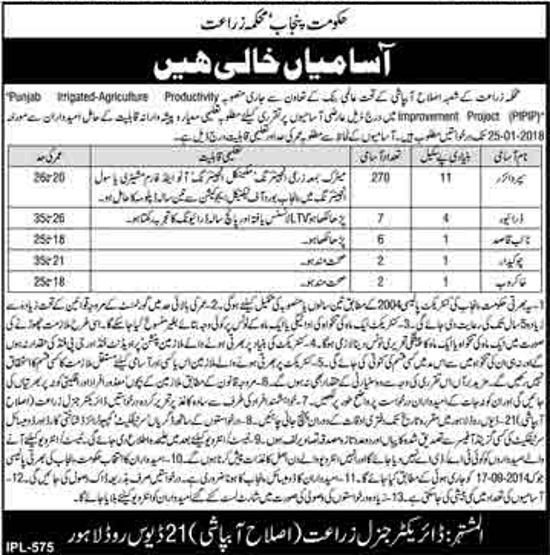 Agriculture Department Punjab Jobs 2018 for 287+ Supervisors / DAE and Support Staff